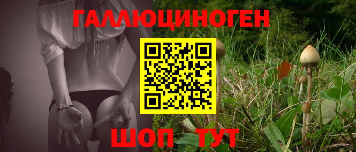 Псилоцибиновые грибы GOLDEN TEACHER  Вход с VPN  Саров 